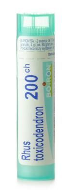 BOIRON Rhus Toxicodendron 200CH gran. 4 g